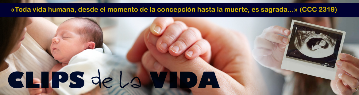 banner clips de la vida category