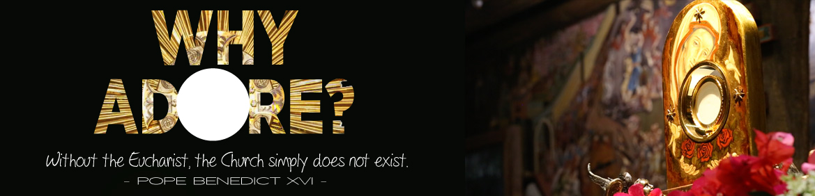 why adore banner export